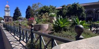 IMG 9787